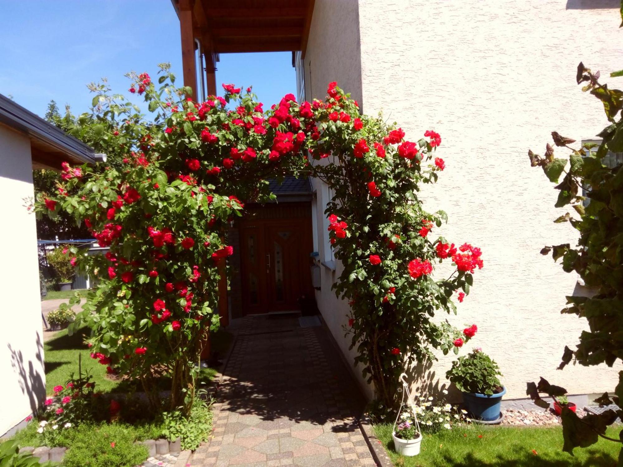 Fewo Rasche Zum Traeumen Beverungen Exterior photo